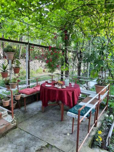 LIDIA House – Photos 2