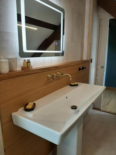 une salle de bain avec un lavabo blanc et un miroir dans l'établissement Maison LaPlace, à Burg