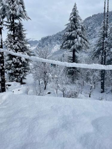 a snow covered forest with pine trees and mountains at The Doors Inn in Manāli