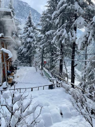 a snow covered yard with trees and a fence at The Doors Inn in Manāli