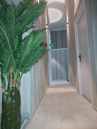 Imagen de la galería de The Passenger Rooms, en Tiflis