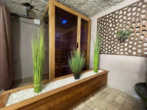 a terrarium with two plants in a room at Rubin in Doba
