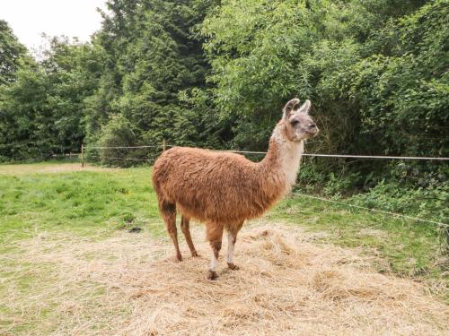 Penrice – Photos 3