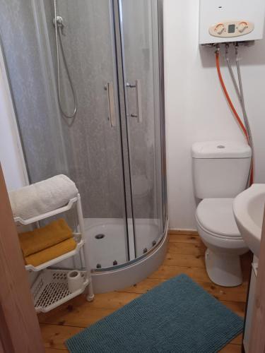 a bathroom with a shower and a toilet at Domek Letniskowy "Domek Lawendowy" in Pisz