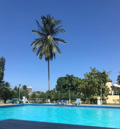 a palm tree towering over a swimming pool at Ambleside & Turtle beach towers in Ocho Rios