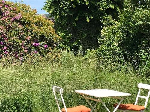 two chairs and a table in a field of grass at Haus Kroneck-Salis Gästeappartement in Bad Iburg