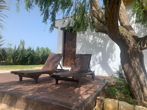 two benches sitting on a deck next to a tree at Apartamentos Villa Pirata Tarifa in Tarifa