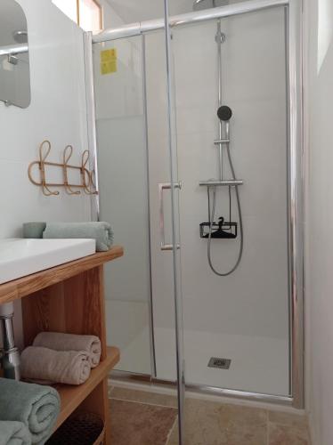 y baño con ducha y puerta de cristal. en l'Annexe, logement confortable avec piscine, en Mazan
