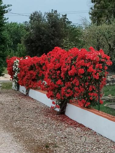 La Dimora delle Rose – Photos 2