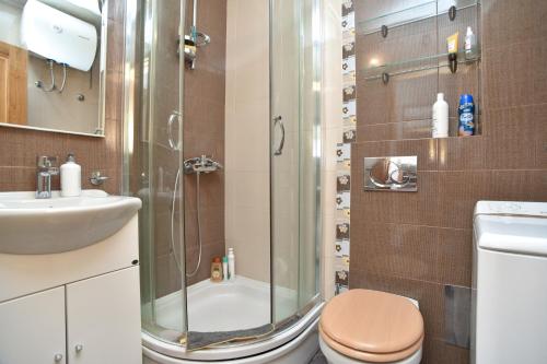 a bathroom with a shower and a toilet and a sink at Apartment Lucky in Budva