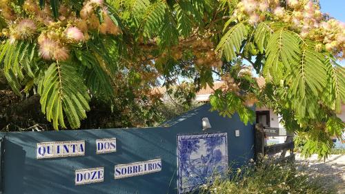 a blue tent under a tree with street signs on it at Quinta dos doze Sobreiros - Quarto Sol in Ferreira do Alentejo