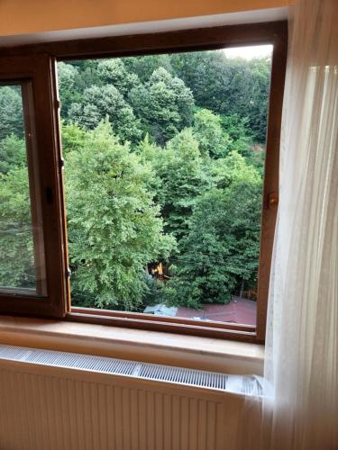 Φωτογραφία από το άλμπουμ του Mersu A'la Konak Otel σε Sapanca
