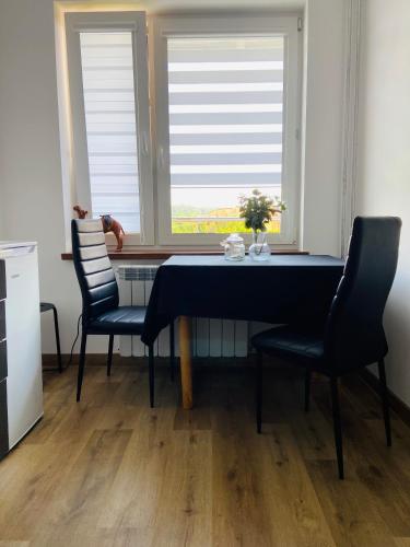 Χώρος καθιστικού στο APARTAMENTY W BIESZCZADACH