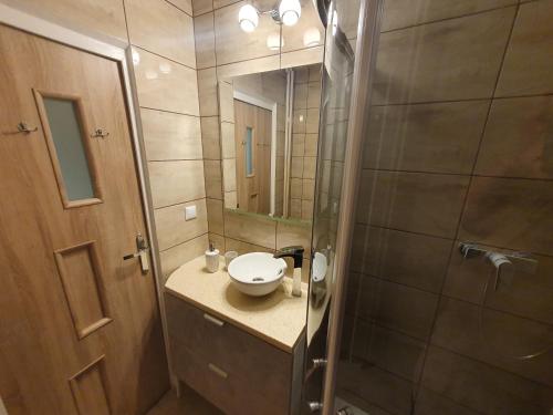 bagno con lavandino e doccia con specchio di Cozy Sunny Apartment a Gdynia