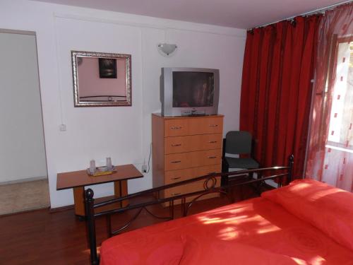 a bedroom with a bed and a desk with a television at Pensiunea Sans Rival in Iaşi