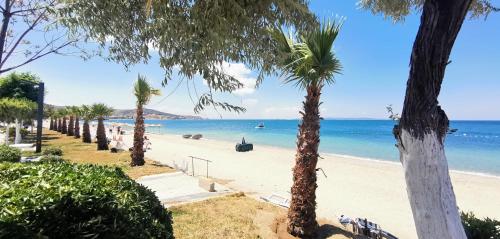 a beach with palm trees and the ocean at Motel Lavanda in Avşa Adası