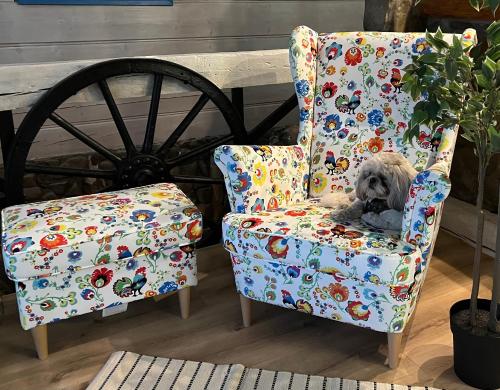 a dog sitting in a chair in a room at Domek Mazury nad Jeziorem in Langendorf