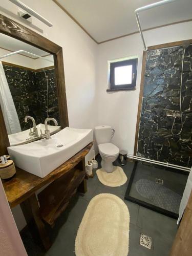 a bathroom with a sink and a toilet and a shower at Casa Her in Galaţi