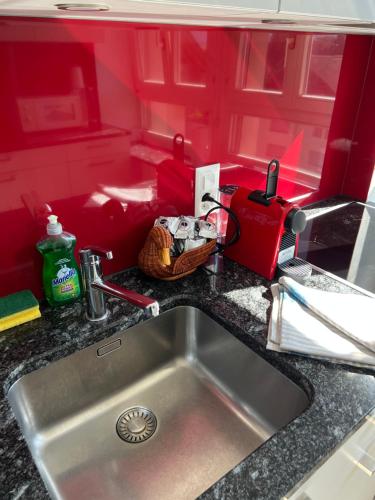 a sink in a kitchen with a red wall at SAVOY 26 in Interlaken
