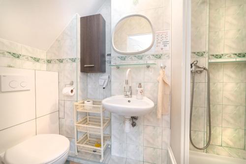 ヤストシェンビャ・グラにあるWilla Arlettaのバスルーム(洗面台、トイレ、鏡付)