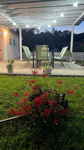 Zahrada ubytování B&B Home
