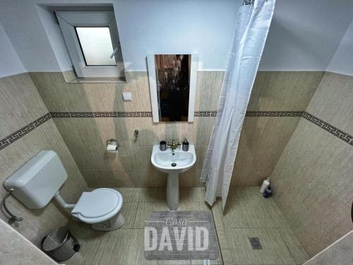 a bathroom with a toilet and a sink at Casa David in Braşov