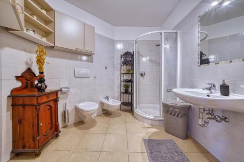 een badkamer met een wastafel, een toilet en een douche bij City Café - CENTRAL Apartment in Brunico