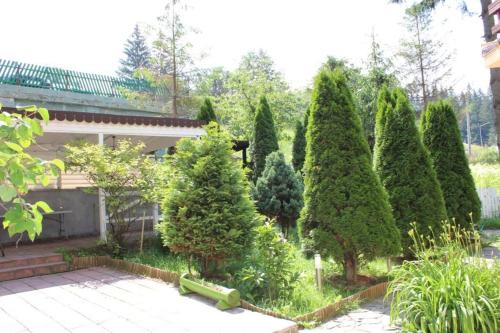 Zahrada ubytování Pensiunea Crescent Predeal