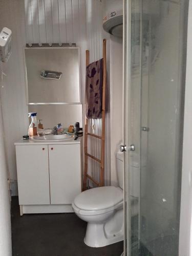 een badkamer met een toilet, een wastafel en een douche bij Appartement bord de vilaine, proche centre et gare in Redon