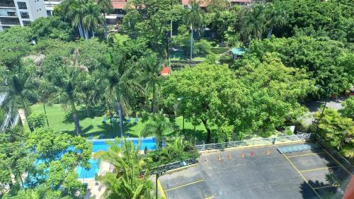 an overhead view of a swimming pool with trees at Holiday Inn Express & Suites Cuernavaca by IHG in Cuernavaca