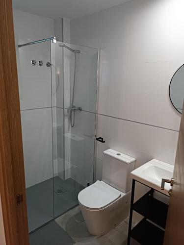 uma casa de banho com um WC e uma cabina de duche em vidro. em APARTAMENTOS LOS GUINDOS em Málaga