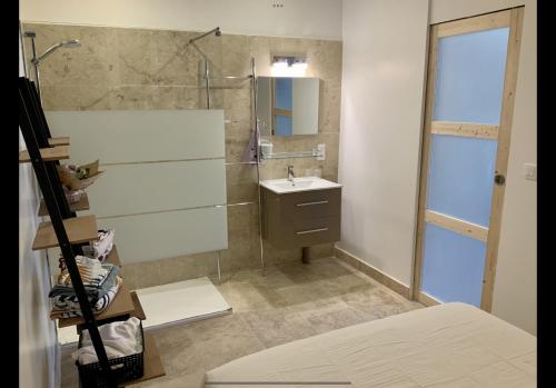 ein kleines Bad mit einem Waschbecken und einer Dusche in der Unterkunft Le petit Versailles in Arles