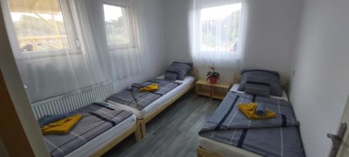 - 3 lits dans une chambre avec 2 fenêtres dans l'établissement Lali Apartman, à Balatonudvari