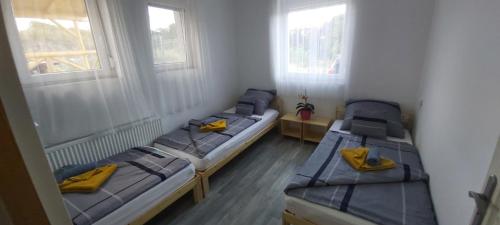 3 camas en una habitación con 2 ventanas en Lali Apartman, en Balatonudvari