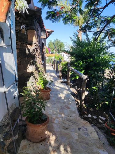 Κήπος έξω από το Romantic Hamlet Cottage with Private Pool La Fragua de Eliseo