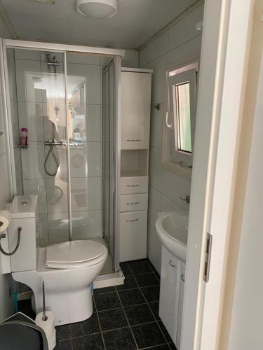 een badkamer met een toilet, een douche en een wastafel bij Ruim privacyvol chalet met overdekt terras in Ermelo