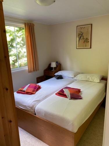 2 camas individuales en una habitación con ventana en Ruim privacyvol chalet met overdekt terras, en Ermelo