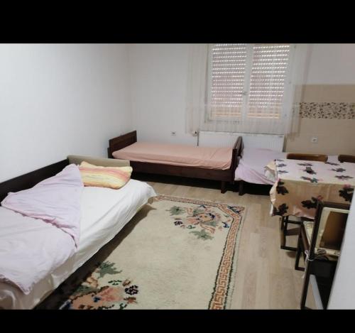 Privatni smestaj - Rooms في Dobrosin: غرفة بسريرين وسجادة