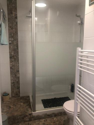 une salle de bain avec douche et toilettes dans l'établissement Les Bains de Wimereux, à Wimereux