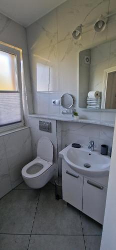 łazienka z toaletą, umywalką i lustrem w obiekcie Apartamenty Hexagon nr 11 w Grzybowie