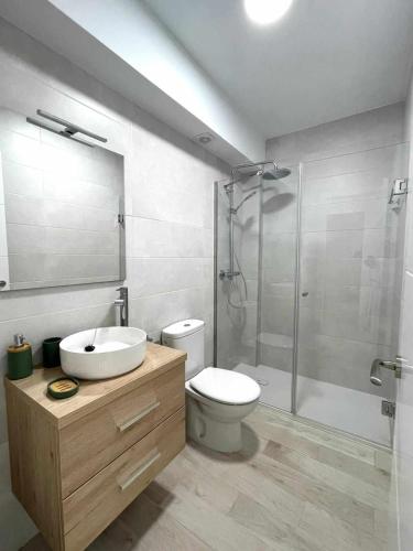 a bathroom with a toilet and a sink and a shower at Piso Azonaicas Centro Tendillas in Córdoba