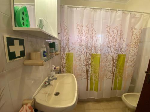 La salle de bains est pourvue d'un lavabo et d'un rideau de douche. dans l'établissement Maria's House - São Jorge, à Santana