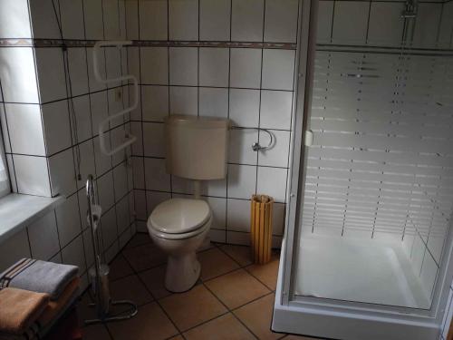 a small bathroom with a toilet and a shower at Apartments in Vetschau Spreewald 2618 in Vetschau