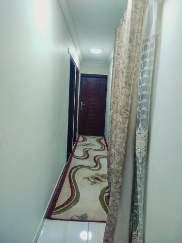 a hallway with a carpet on the floor at Four Seasons in Cairo