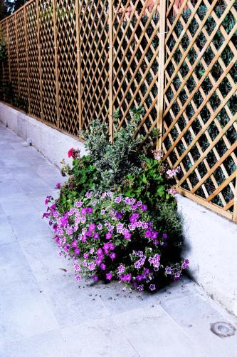 a bunch of flowers in front of a fence at La Villa bed & breakfast in Milan