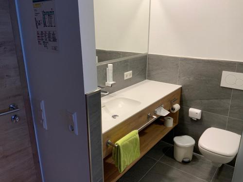 a bathroom with a sink and a toilet and a mirror at Gasthaus Sonne in Hohenstadt