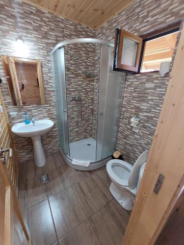 a bathroom with a shower and a toilet and a sink at Pensiunea Sonia in Cârțișoara