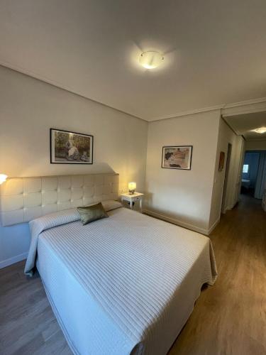 1 dormitorio con 1 cama grande en una habitación en Jardines del Turia, en Valencia