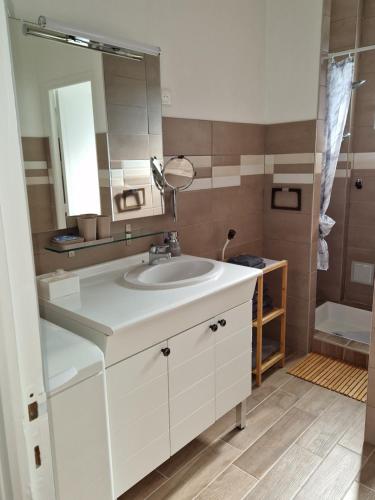 La salle de bains est pourvue d'un lavabo blanc et d'un miroir. dans l'établissement L'entre deux Eaux 'Maison' Balcon 'et Jardin, à Reims