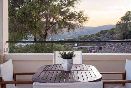a wooden table with a potted plant on a balcony at Aphaia Villa & Residences Aegina in Agia Marina Aegina